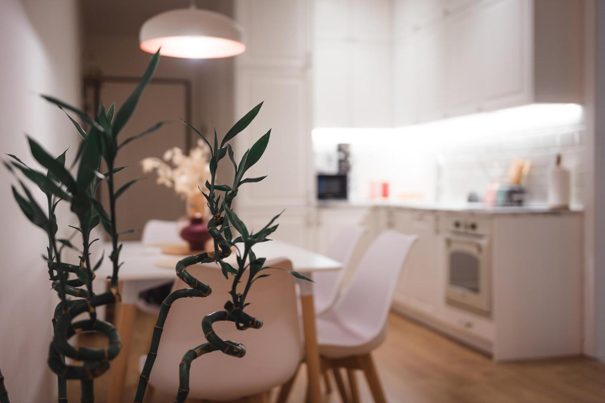 Tam Centre Luxury Serviced Apartments Tirana Bagian luar foto